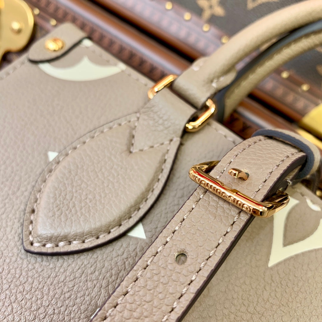Women bag tote