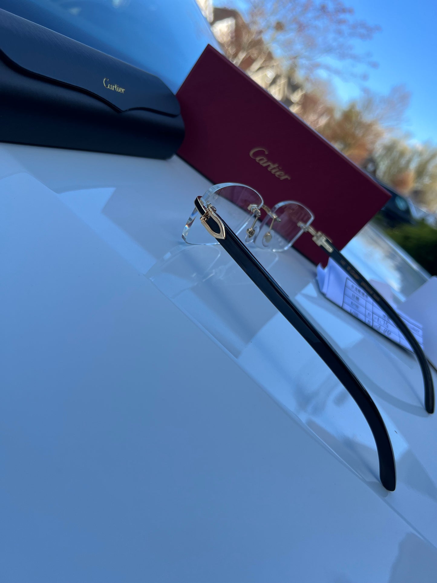 Custom Prescription glasses