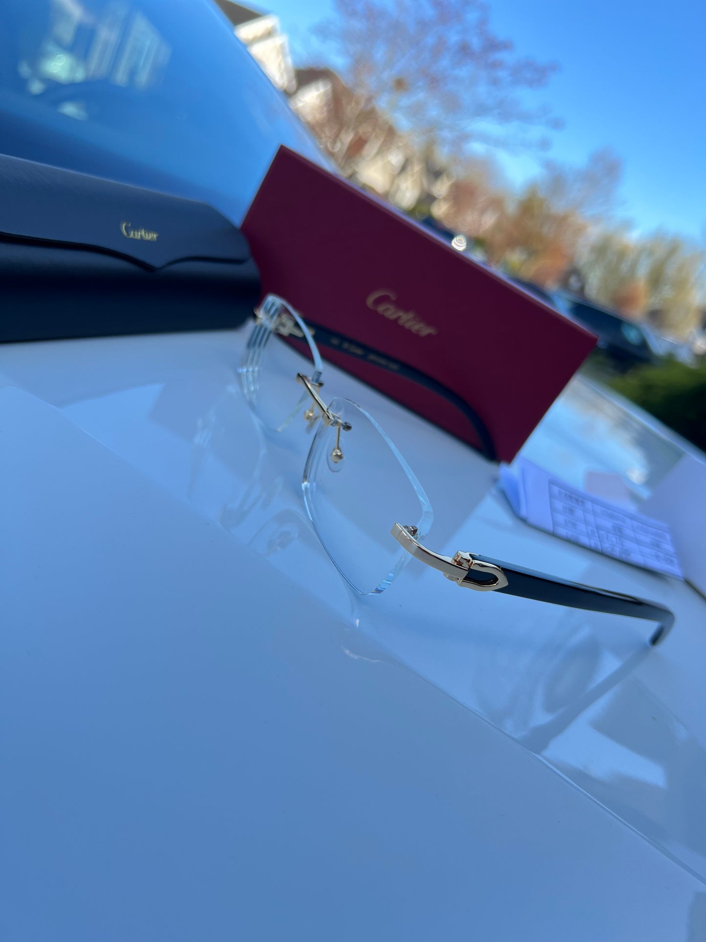 Custom Prescription glasses