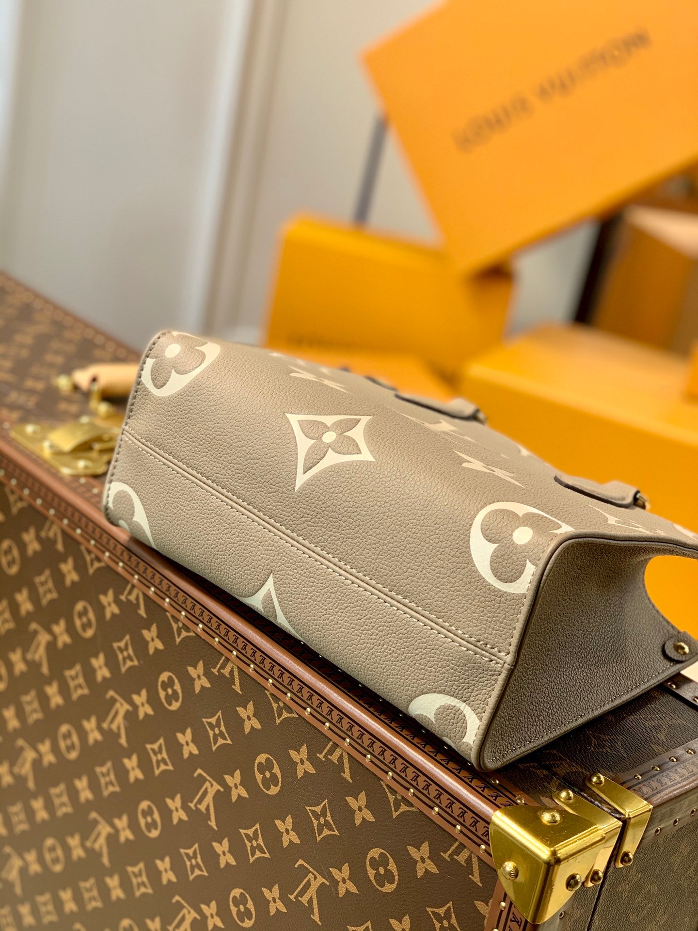Women bag tote