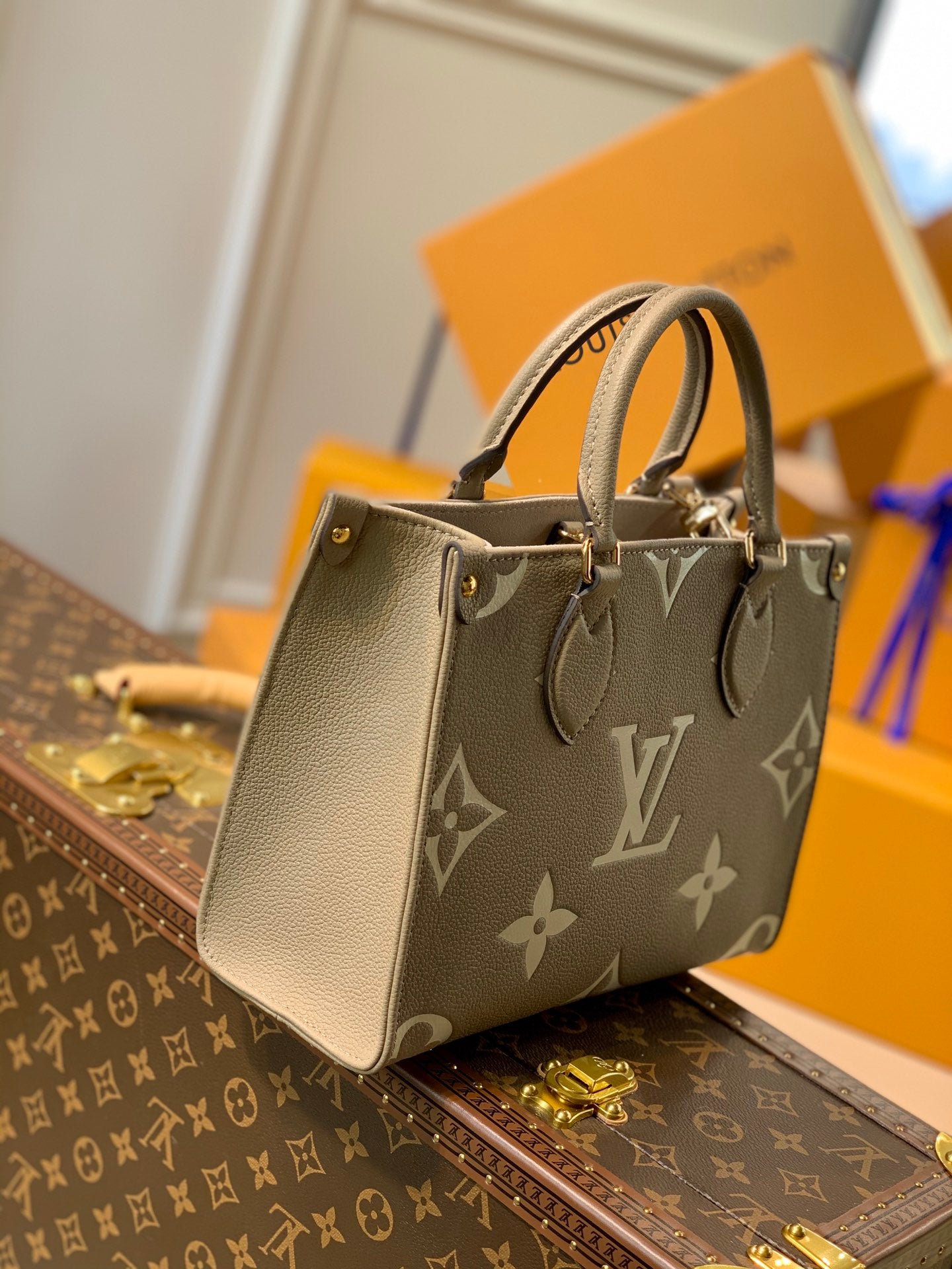 Women bag tote