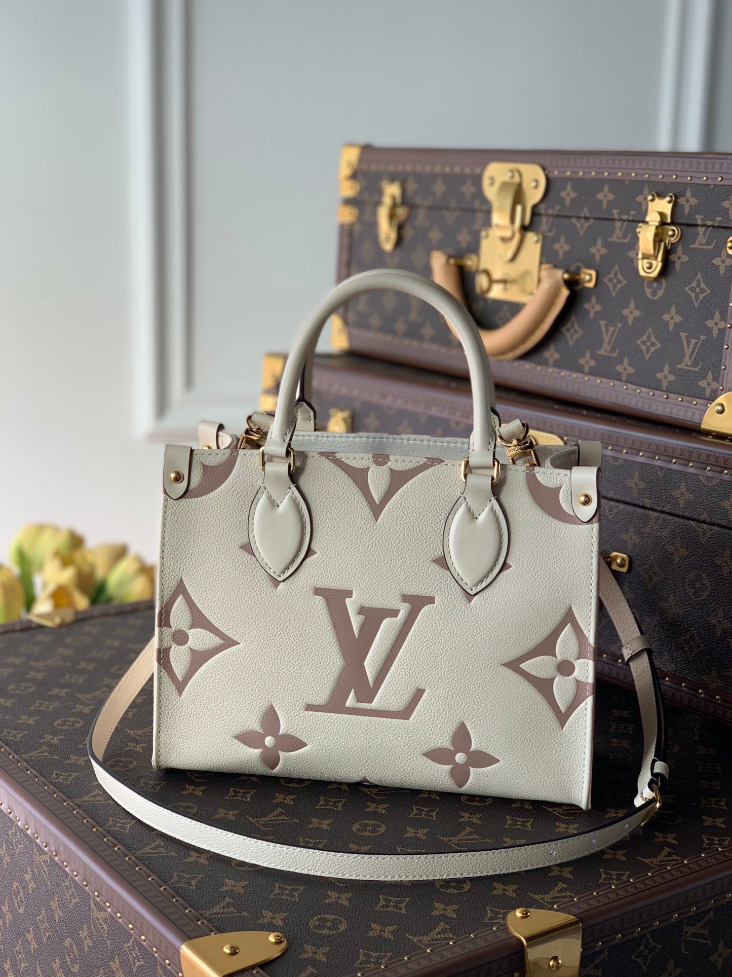 Women bag tote Onthego
