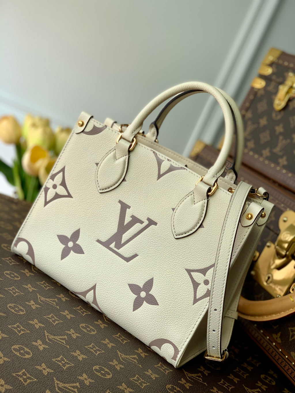 Women bag tote