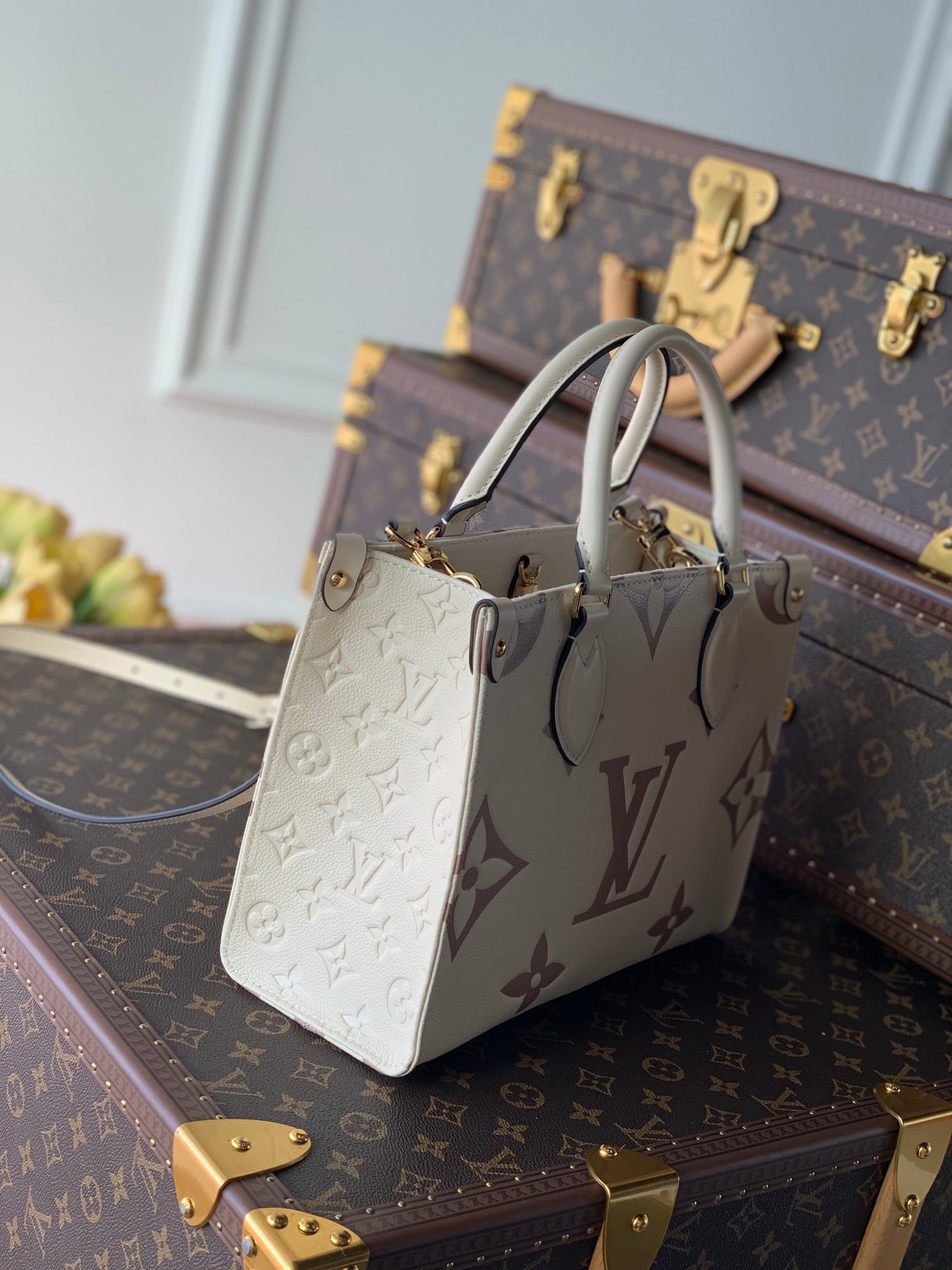 Women bag tote Onthego