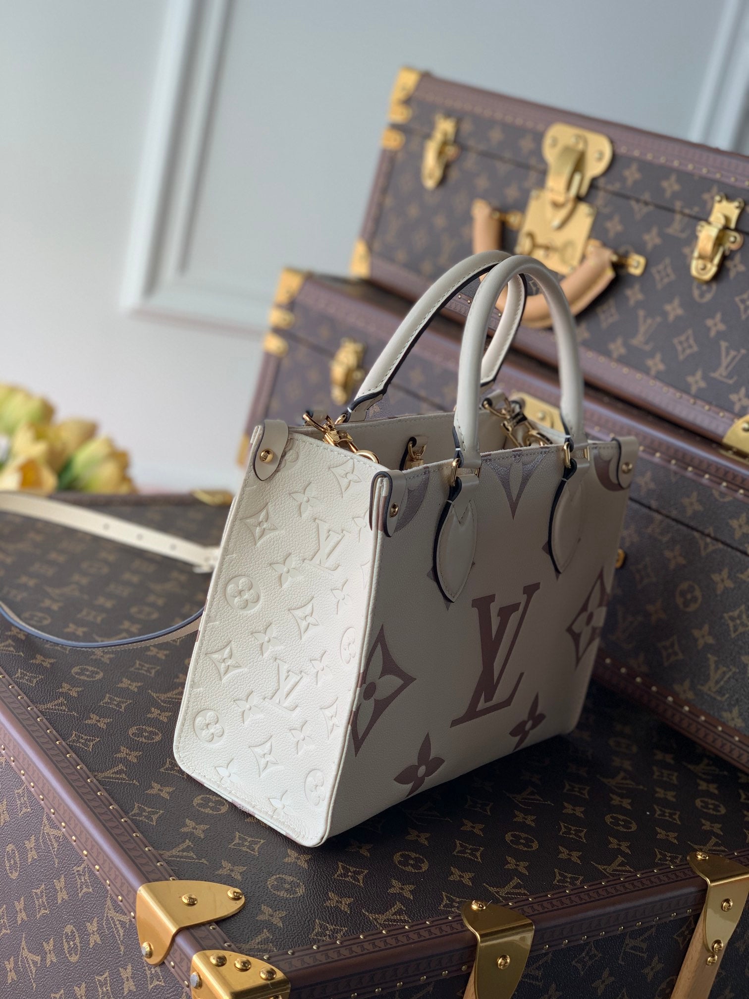 Women bag tote Onthego