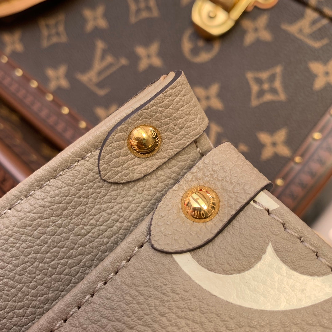Women bag tote