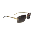 Sunglasses panthers